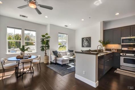 6 Merrydale Court San Rafael CA 94903