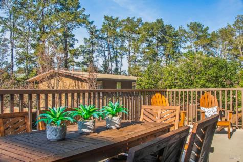 96 Forest Lane San Rafael CA 94903