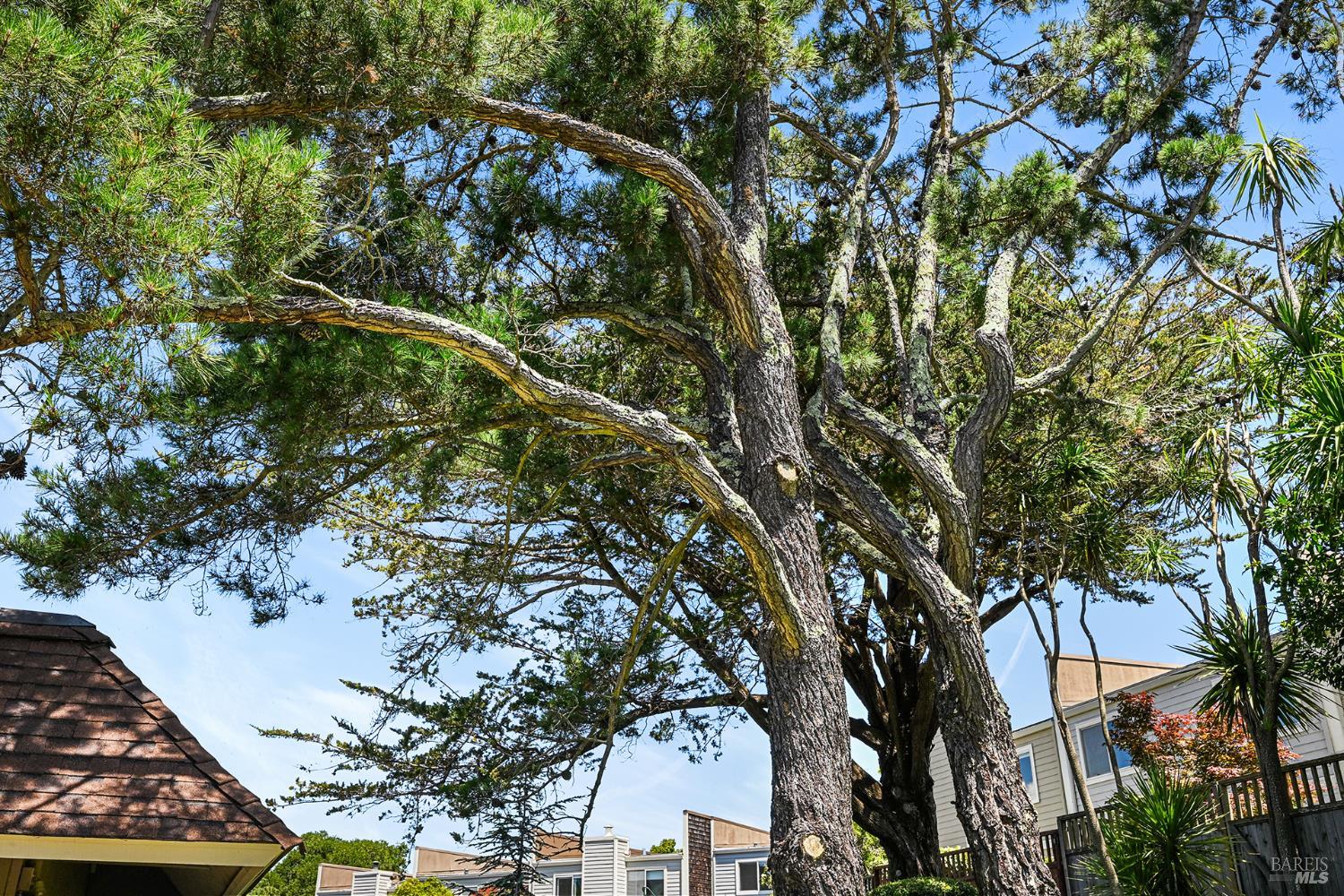 74 Mariner Green Drive Corte Madera CA 94925