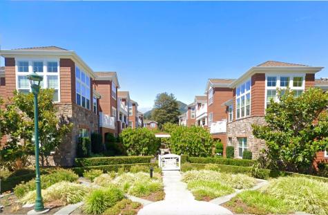 30 Camellia Circle Larkspur CA 94939