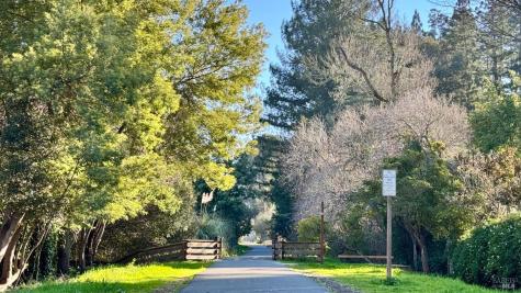 30 Camellia Circle Larkspur CA 94939