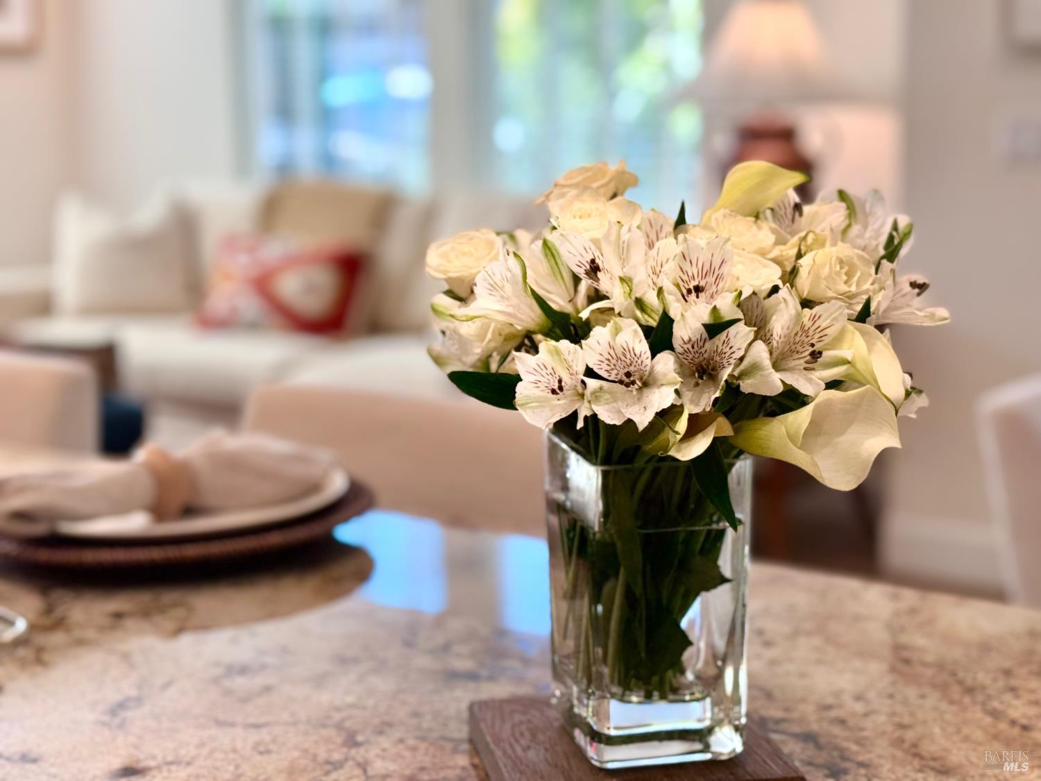 30 Camellia Circle Larkspur CA 94939