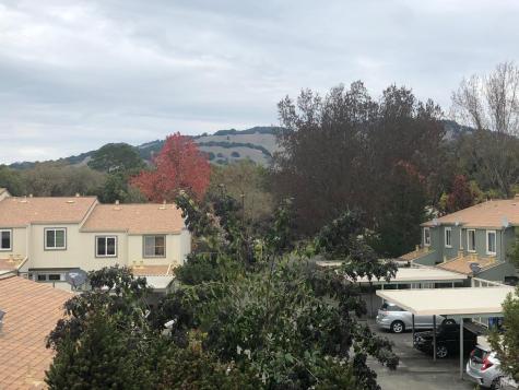 113 Oliva Court Novato CA 94947