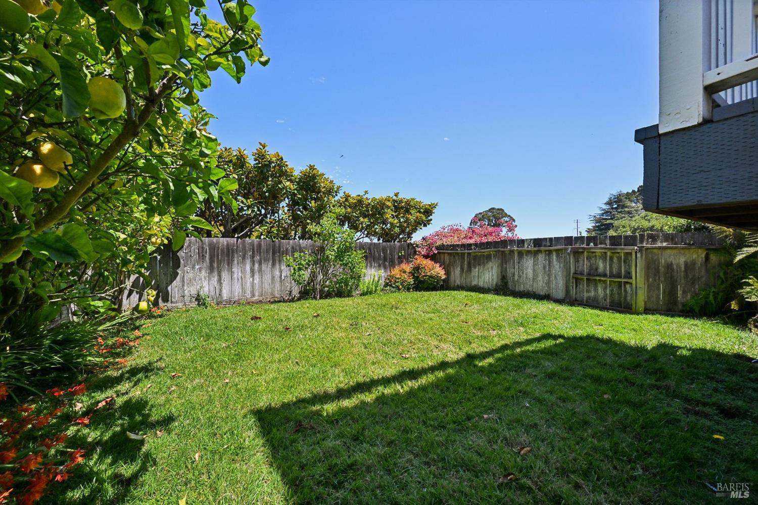 14 Marie Street Sausalito CA 94965