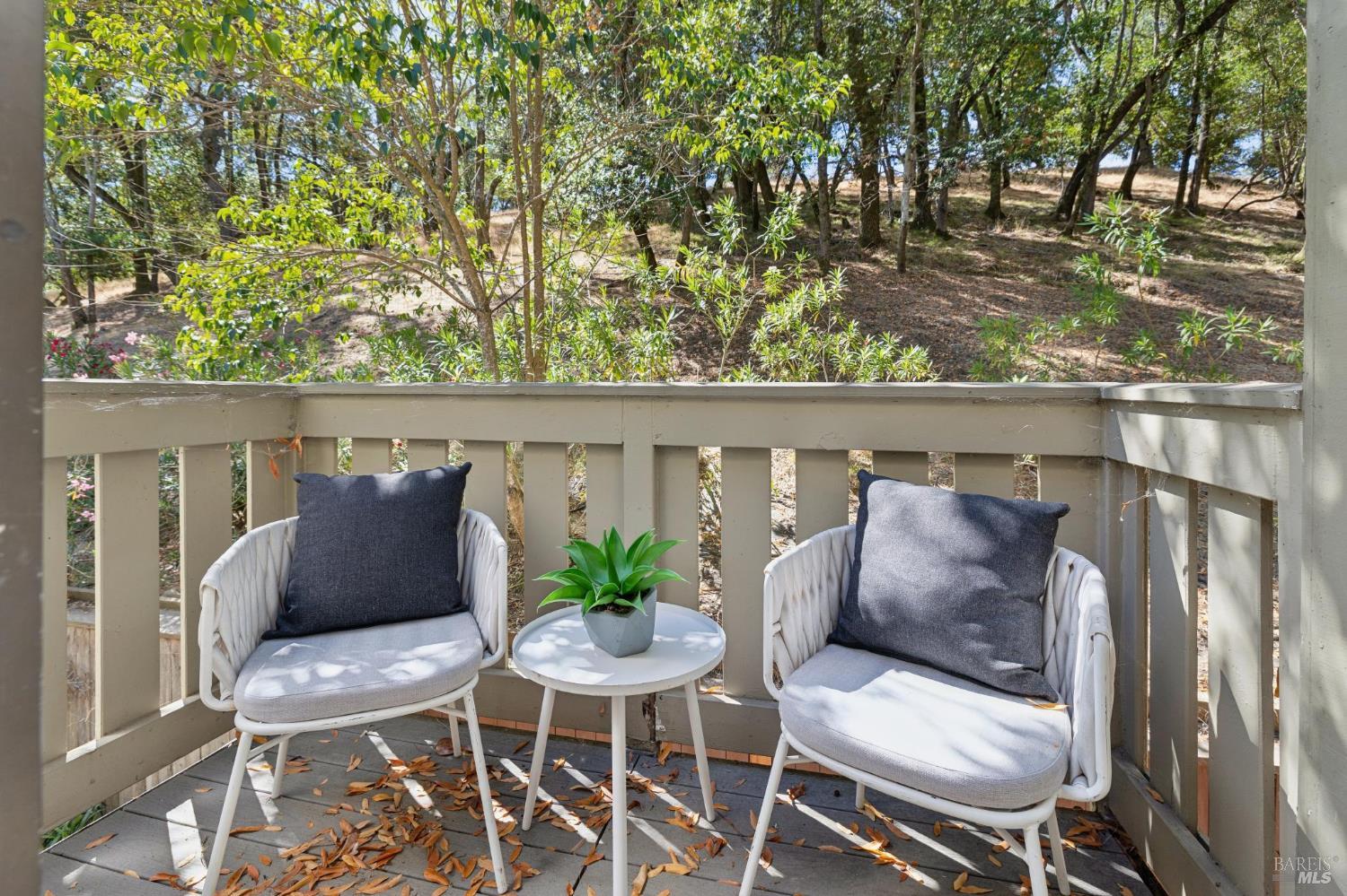 261 Redhawk Road Novato CA 94949