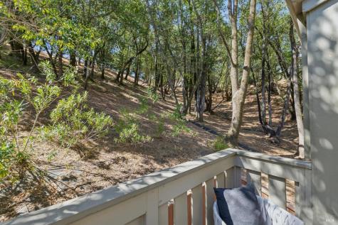 261 Redhawk Road Novato CA 94949