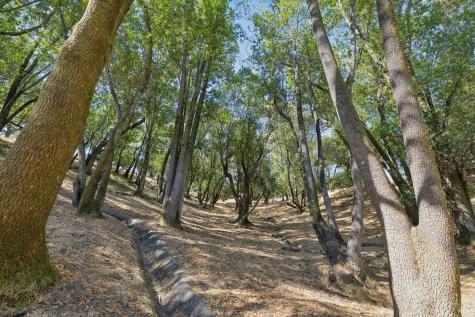 261 Redhawk Road Novato CA 94949