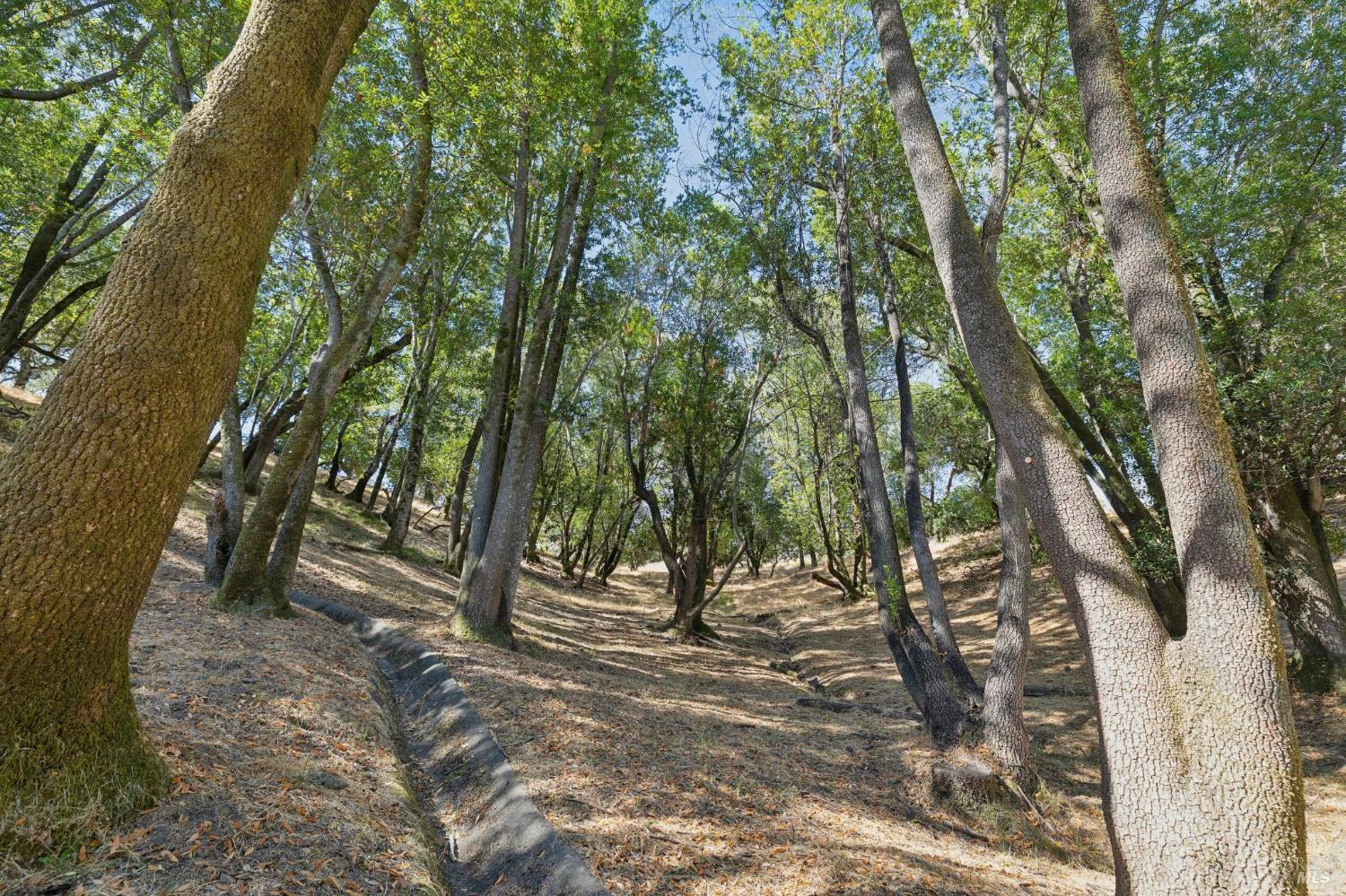 261 Redhawk Road Novato CA 94949