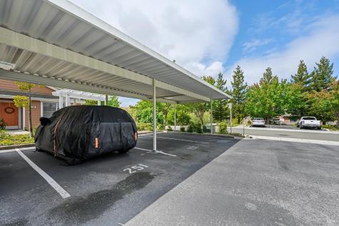 44 March Field Court Novato CA 94949