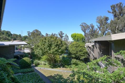 1411 Casa Buena Drive Corte Madera CA 94925