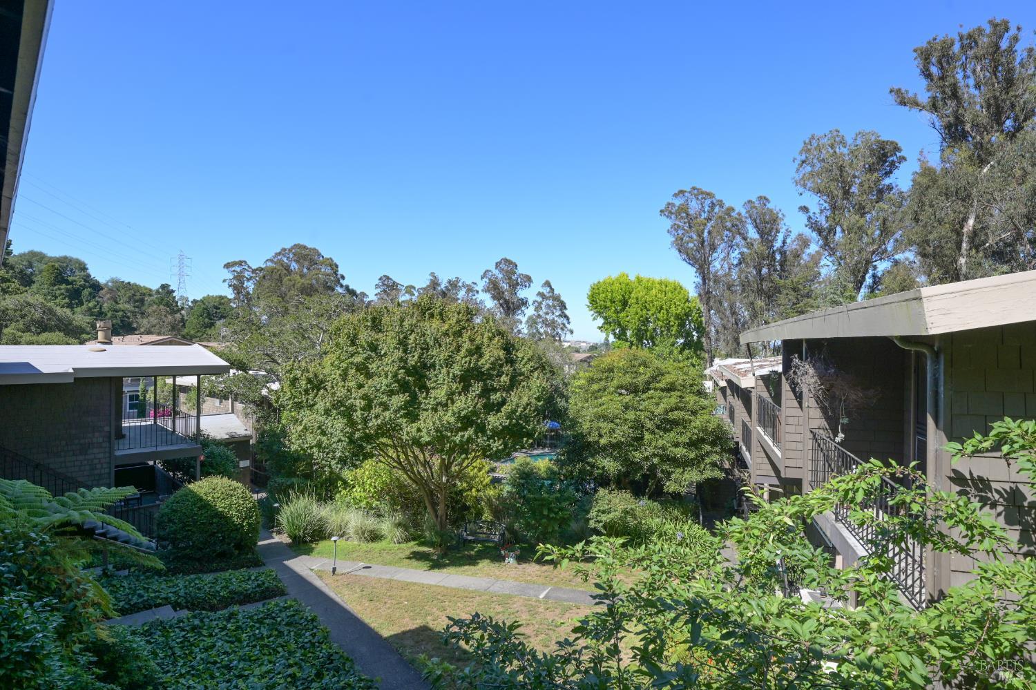 1411 Casa Buena Drive Corte Madera CA 94925