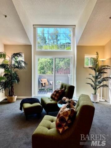 238 Sandpiper Court Novato CA 94949