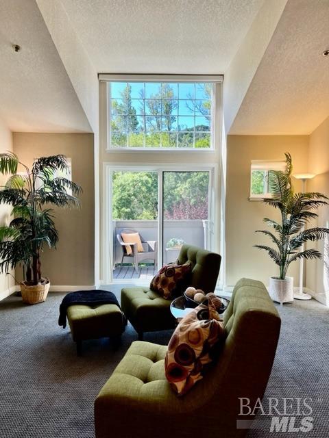 238 Sandpiper Court Novato CA 94949