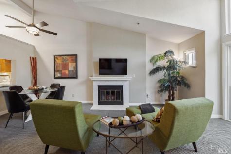 238 Sandpiper Court Novato CA 94949