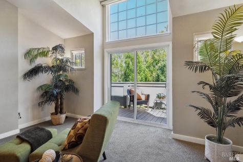 238 Sandpiper Court Novato CA 94949