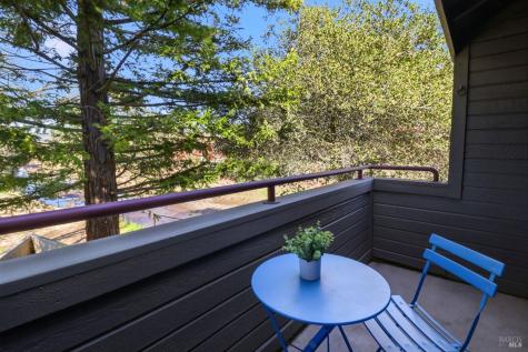 240 Seagull Row Novato CA 94945