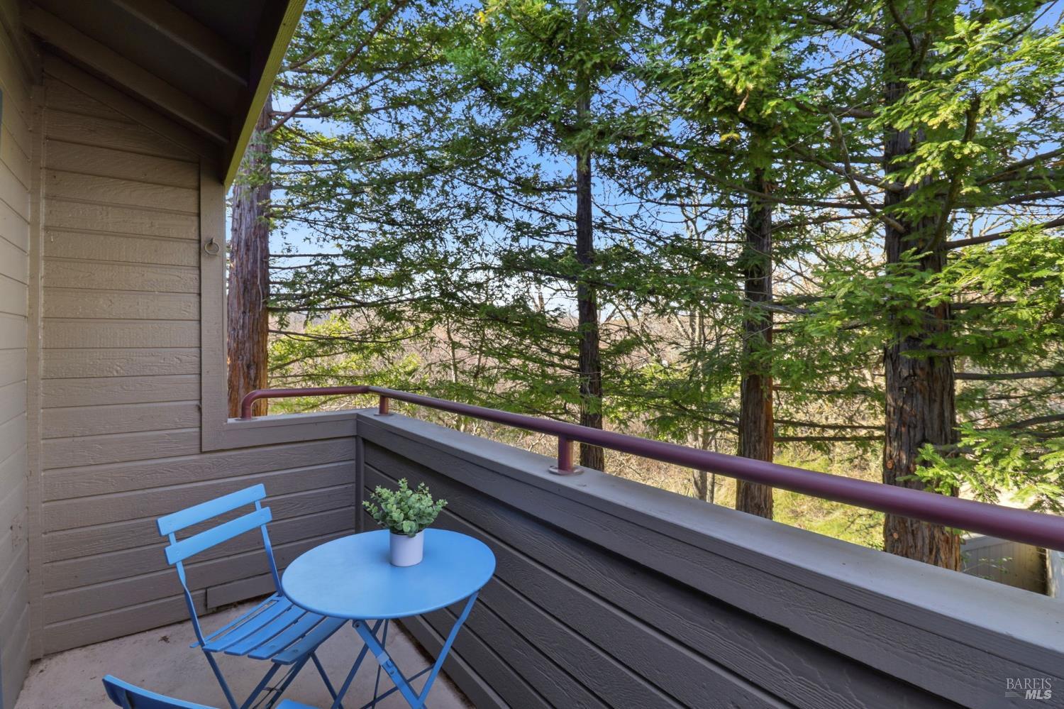 240 Seagull Row Novato CA 94945
