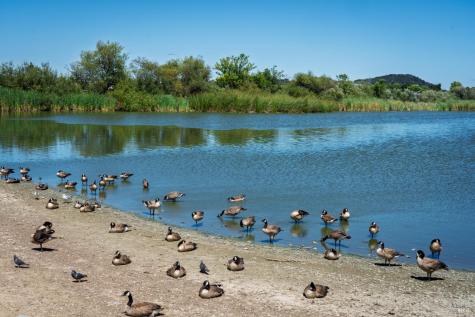 1142 Redwood Boulevard Novato CA 94947