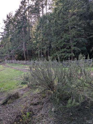 14639 Jomark Lane Occidental CA 95465