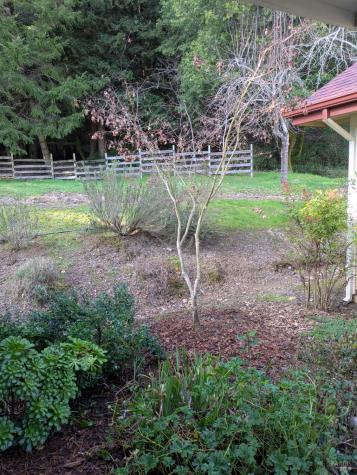 14639 Jomark Lane Occidental CA 95465