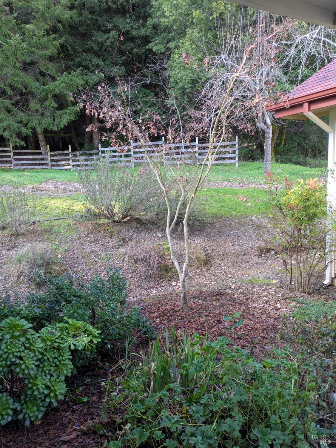 14639 Jomark Lane Occidental CA 95465