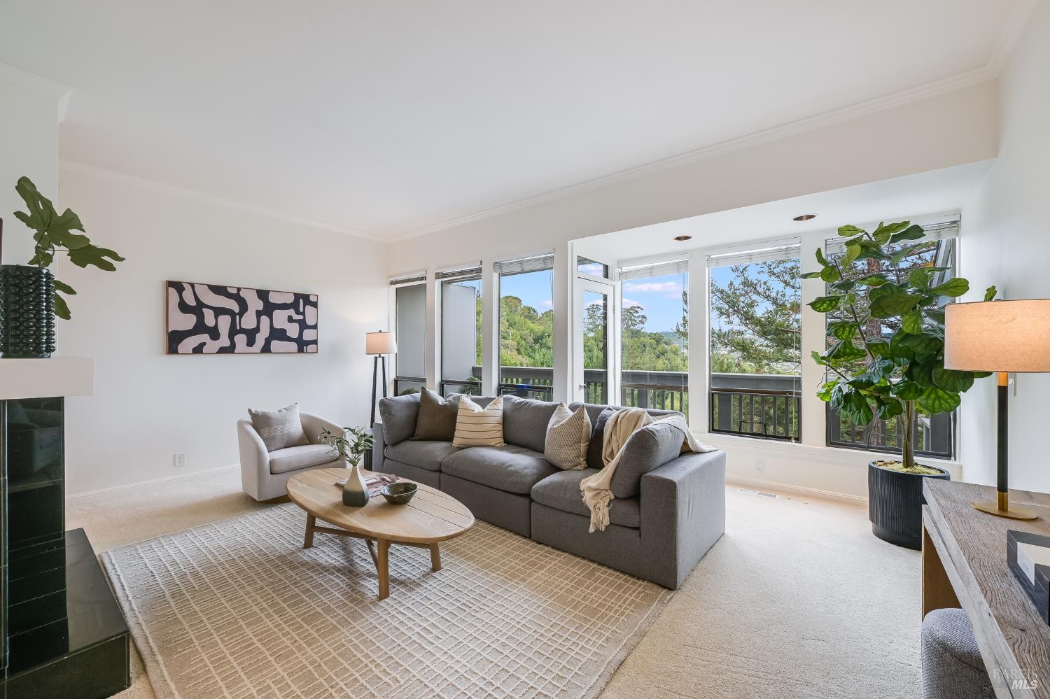 263 Channing Way San Rafael CA 94903