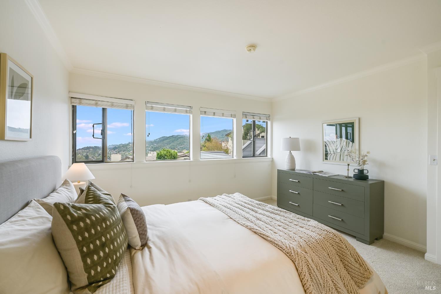 263 Channing Way San Rafael CA 94903