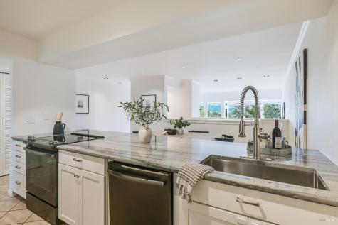 263 Channing Way San Rafael CA 94903