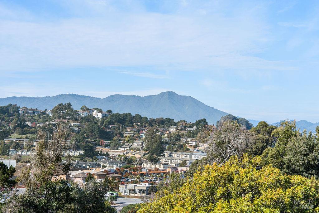846 Olima Street Sausalito CA 94965