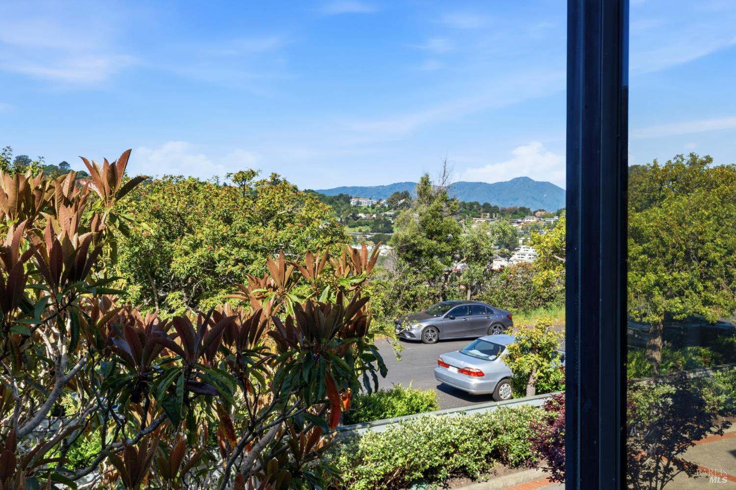 846 Olima Street Sausalito CA 94965