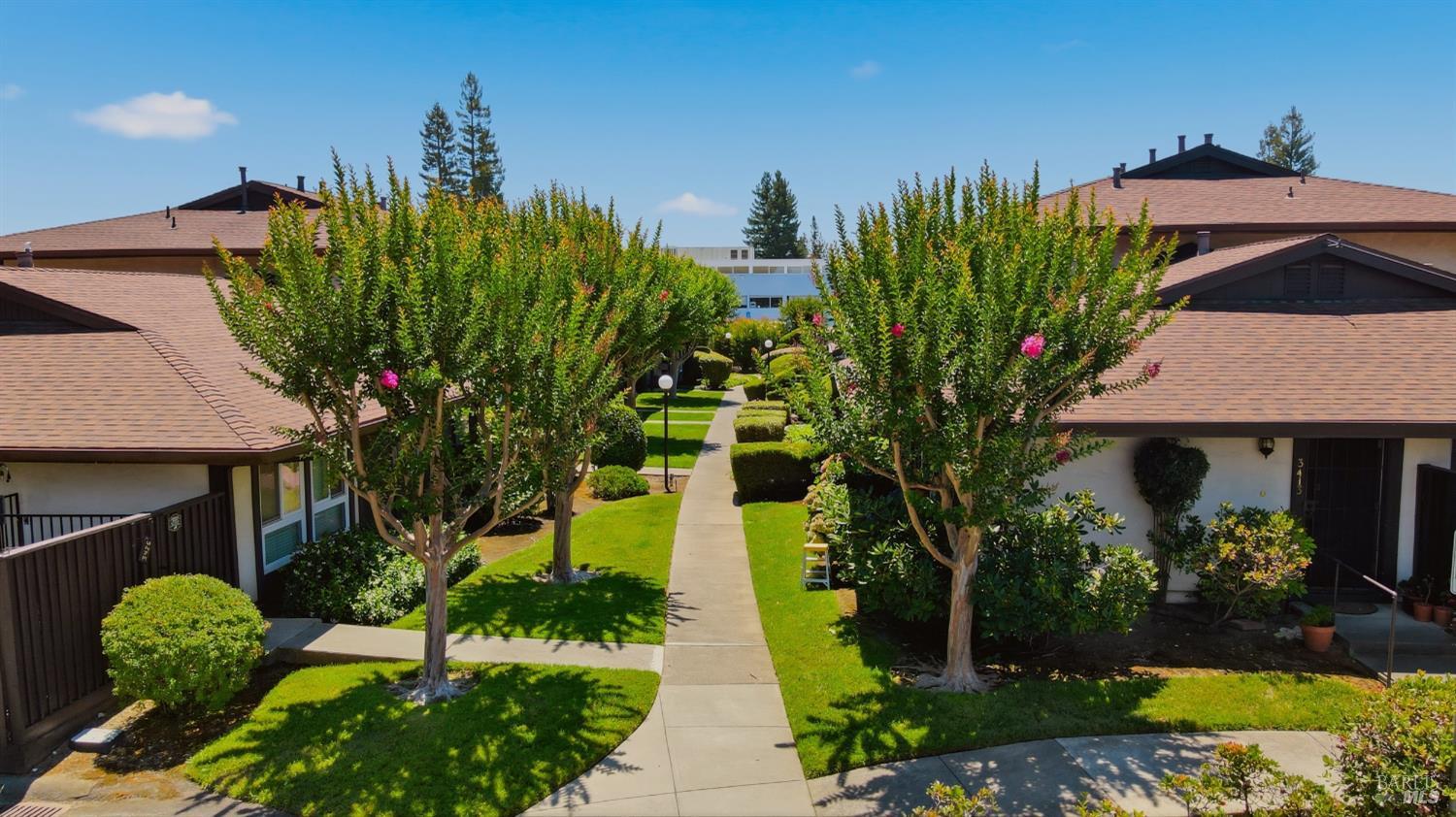 3409 Willis Drive Napa CA 94558