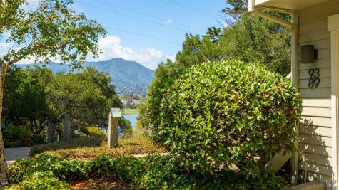 89 Eucalyptus Knoll Knolls Mill Valley CA 94941