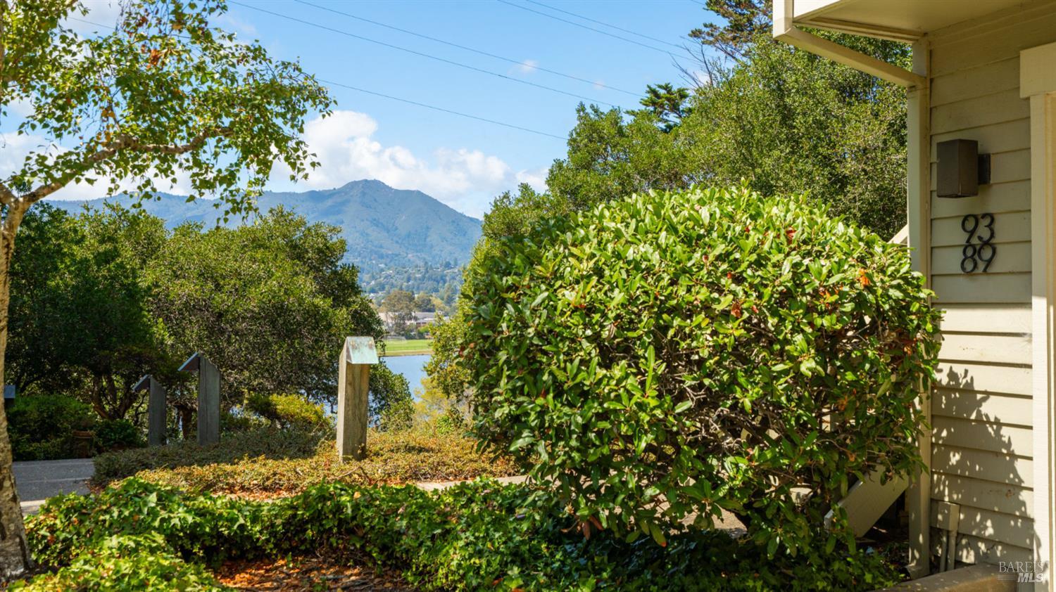 89 Eucalyptus Knoll Knolls Mill Valley CA 94941