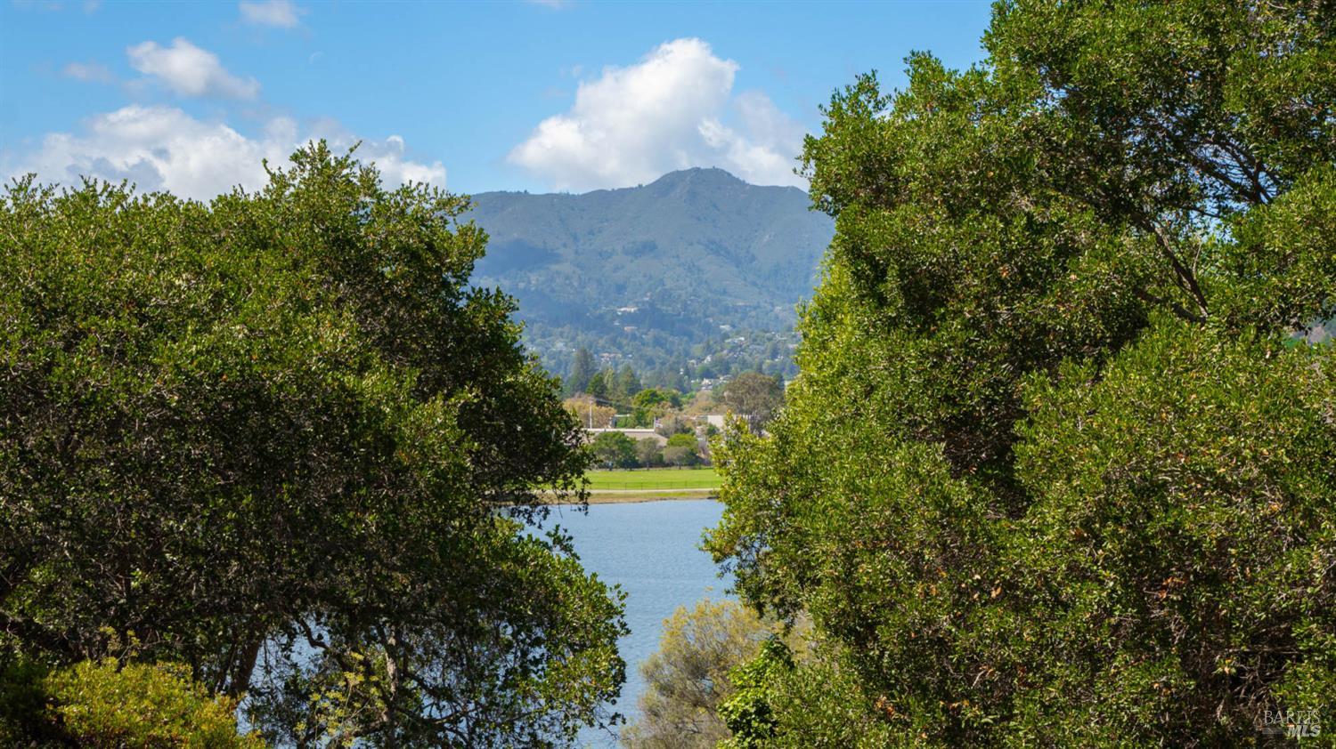 89 Eucalyptus Knoll Knolls Mill Valley CA 94941