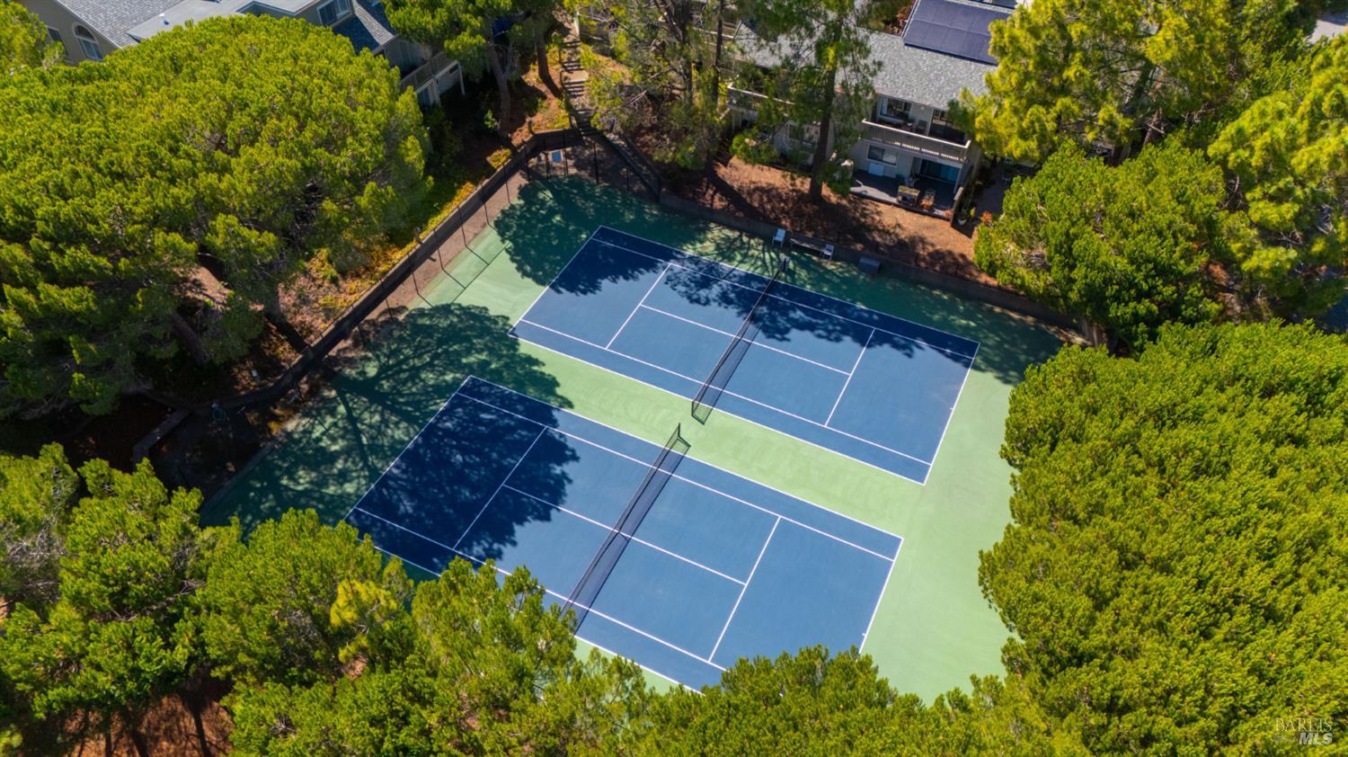 89 Eucalyptus Knoll Knolls Mill Valley CA 94941