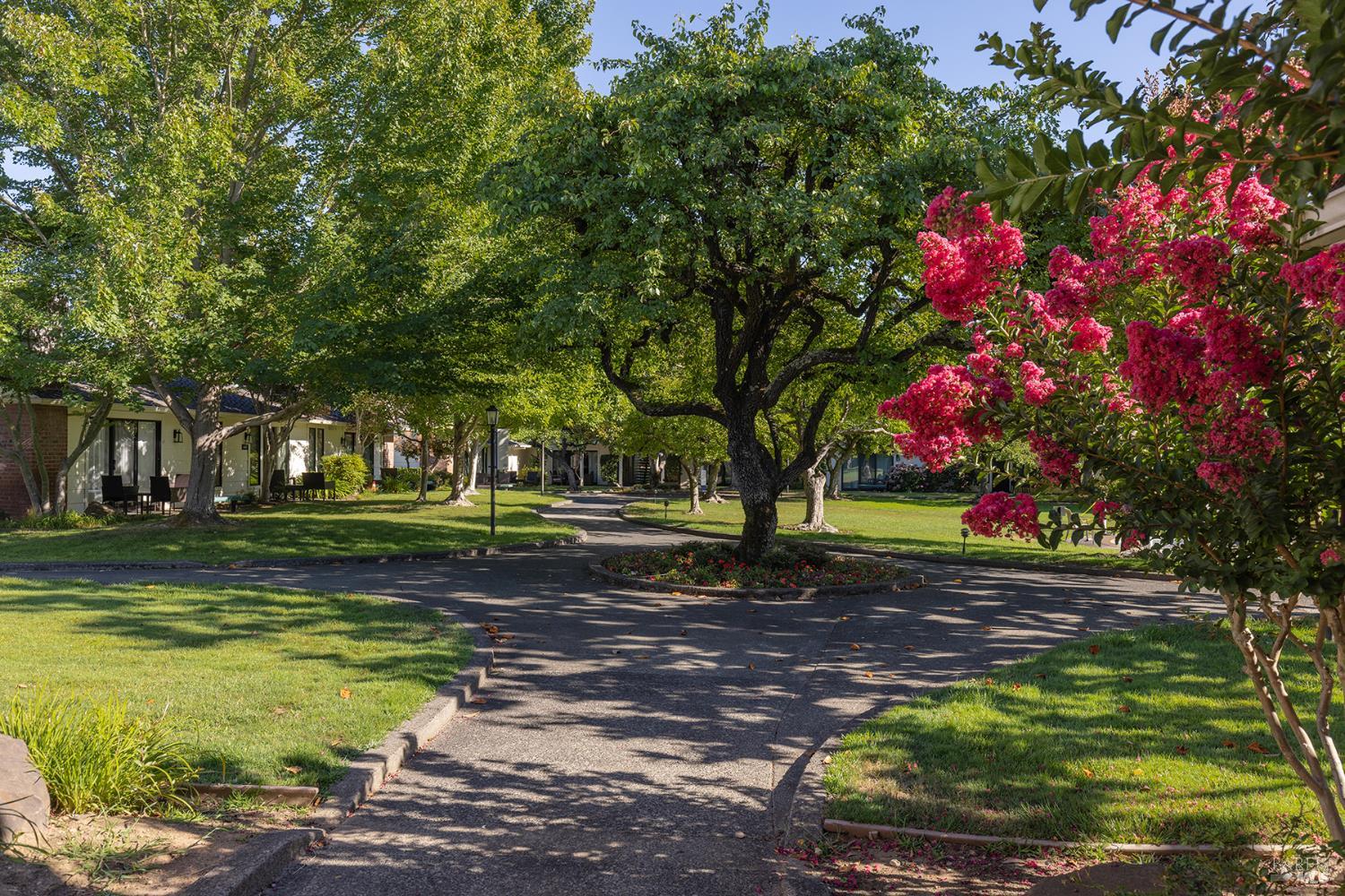 1600 Atlas Peak Road Napa CA 94558