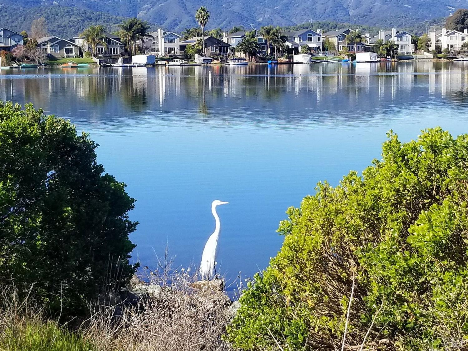 902 Bel Marin Keys Boulevard Novato CA 94949