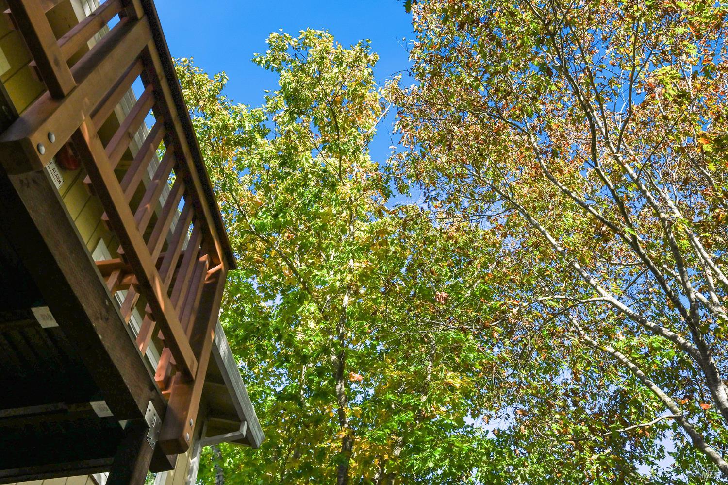 147 Acorn Drive Petaluma CA 94952