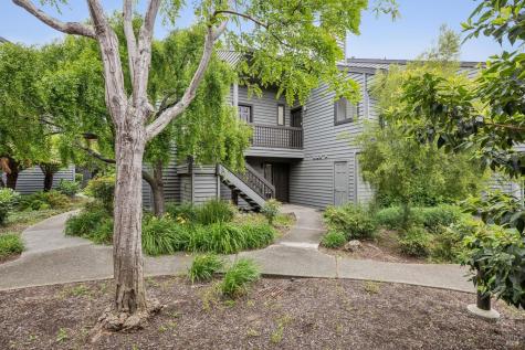 51 Cypress Place Sausalito CA 94965