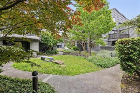 51 Cypress Place Sausalito CA 94965