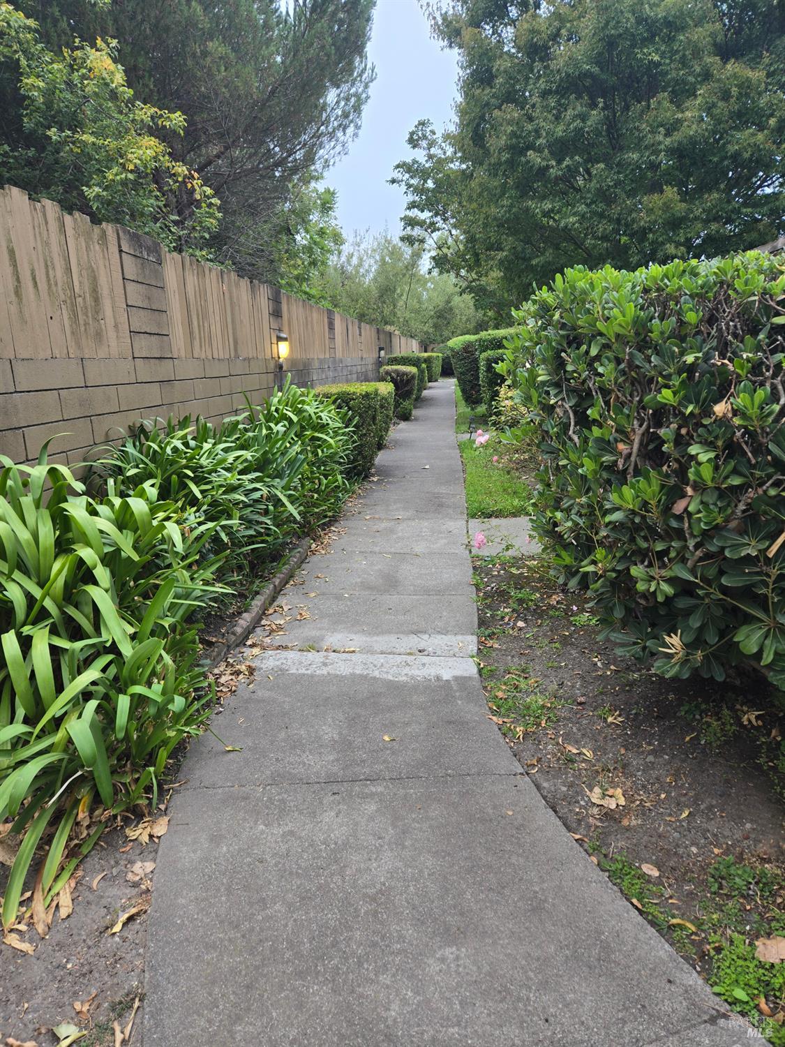 223 Lincoln Avenue Cotati CA 94931