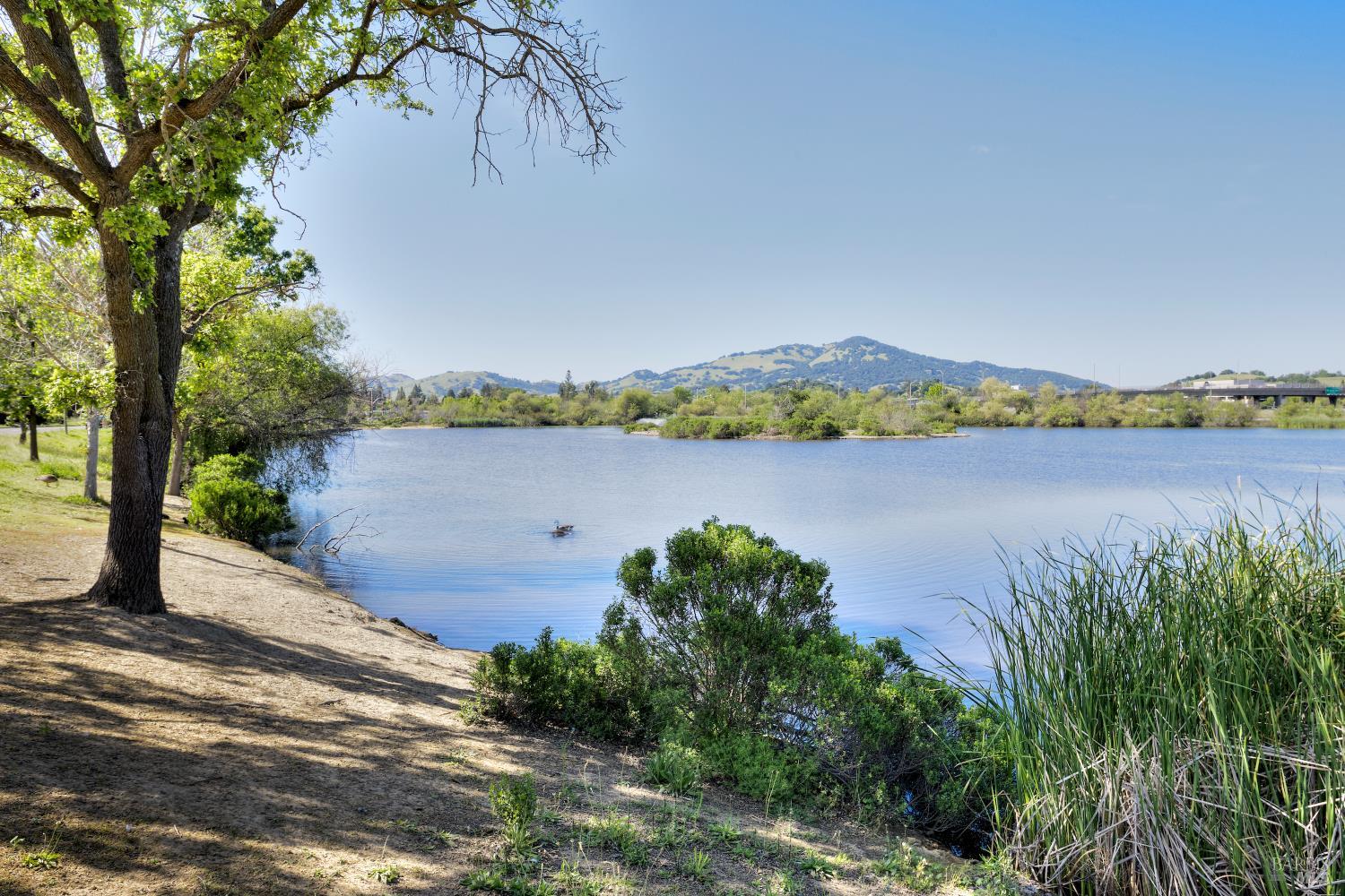 6-E Park Crest Court Novato CA 94947