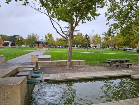 43 Johnson Street Windsor CA 95492