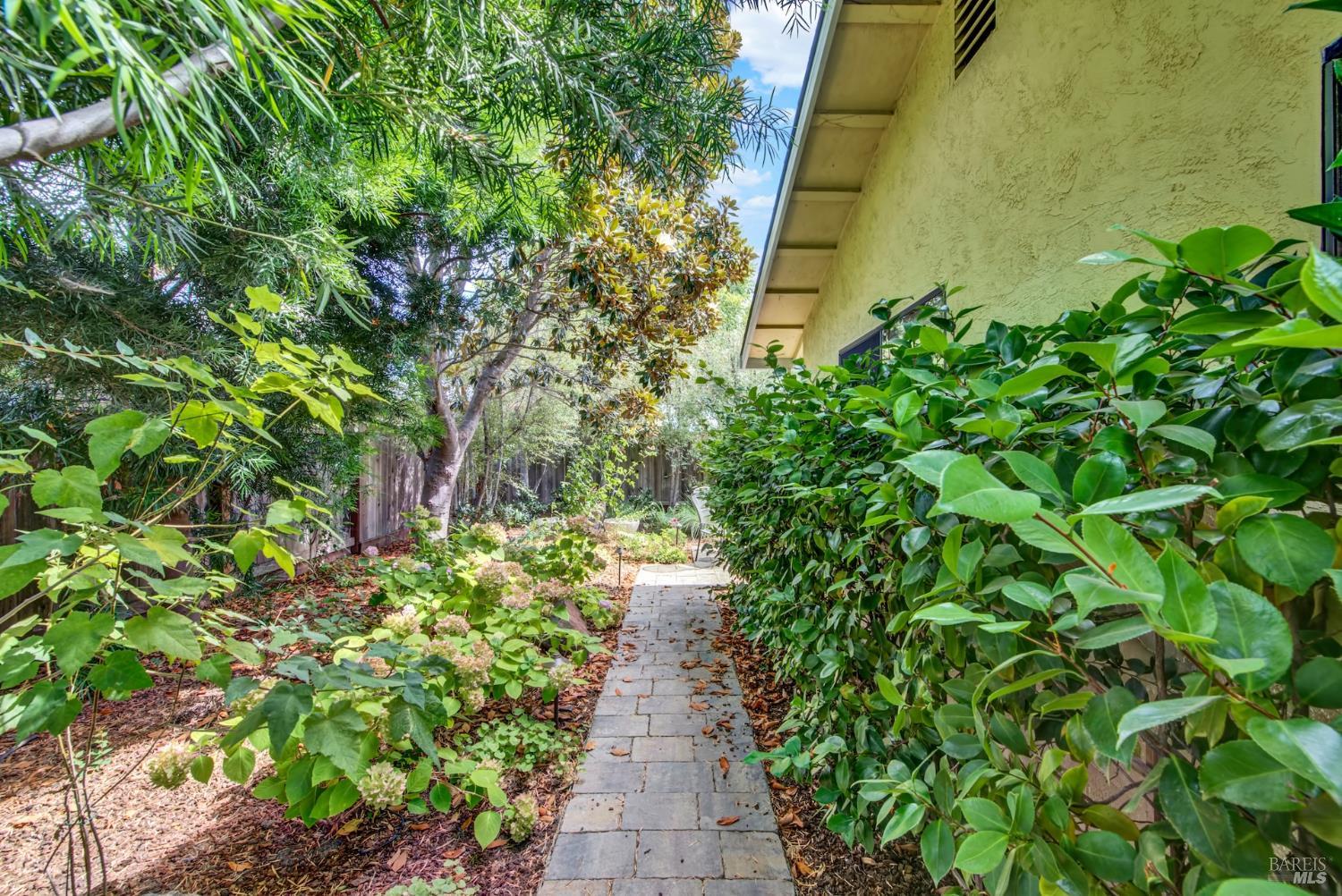 1629 San Vicente Avenue Napa CA 94558