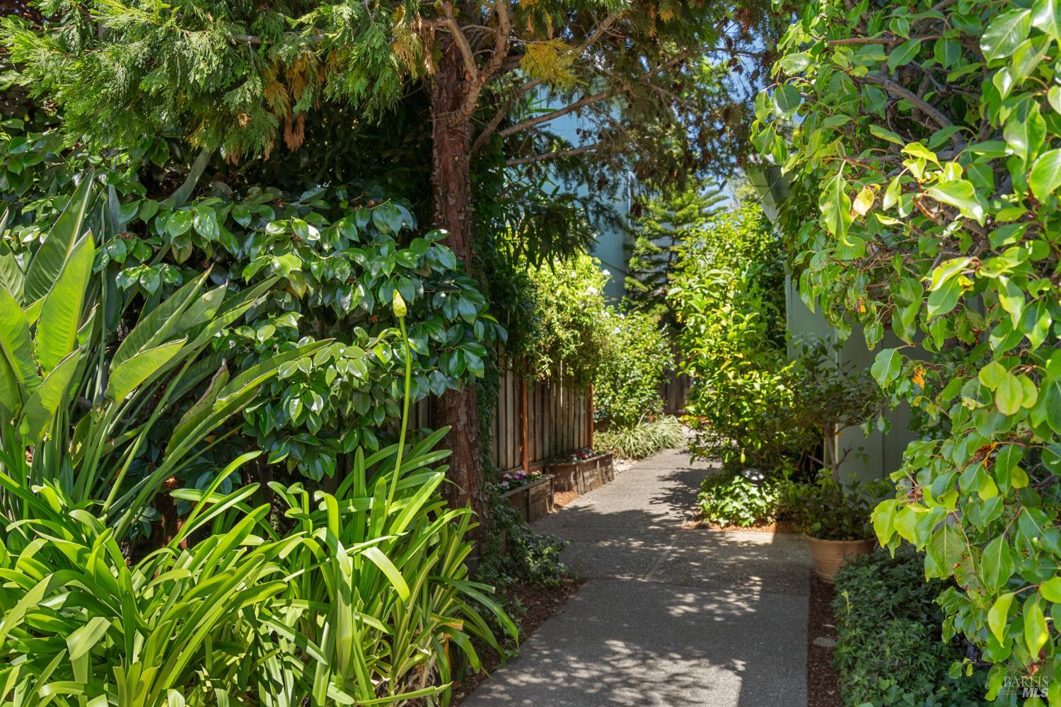 29 Porto Bello Drive San Rafael CA 94901