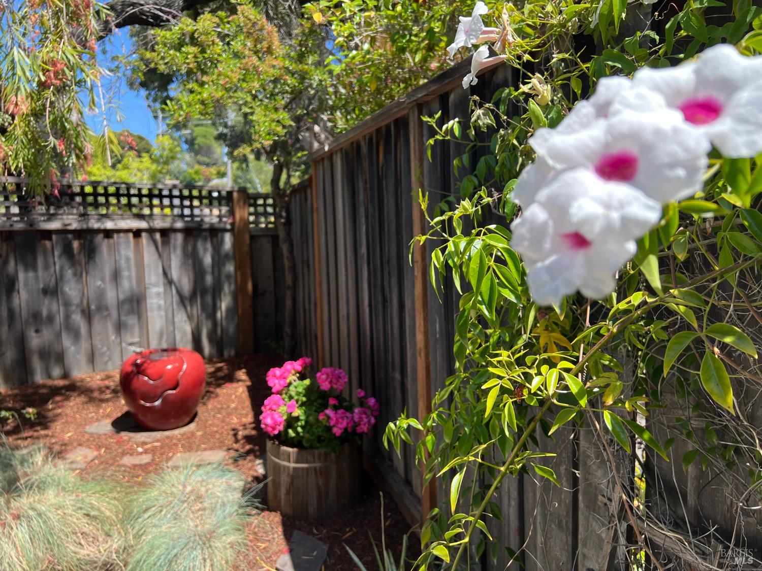 29 Porto Bello Drive San Rafael CA 94901