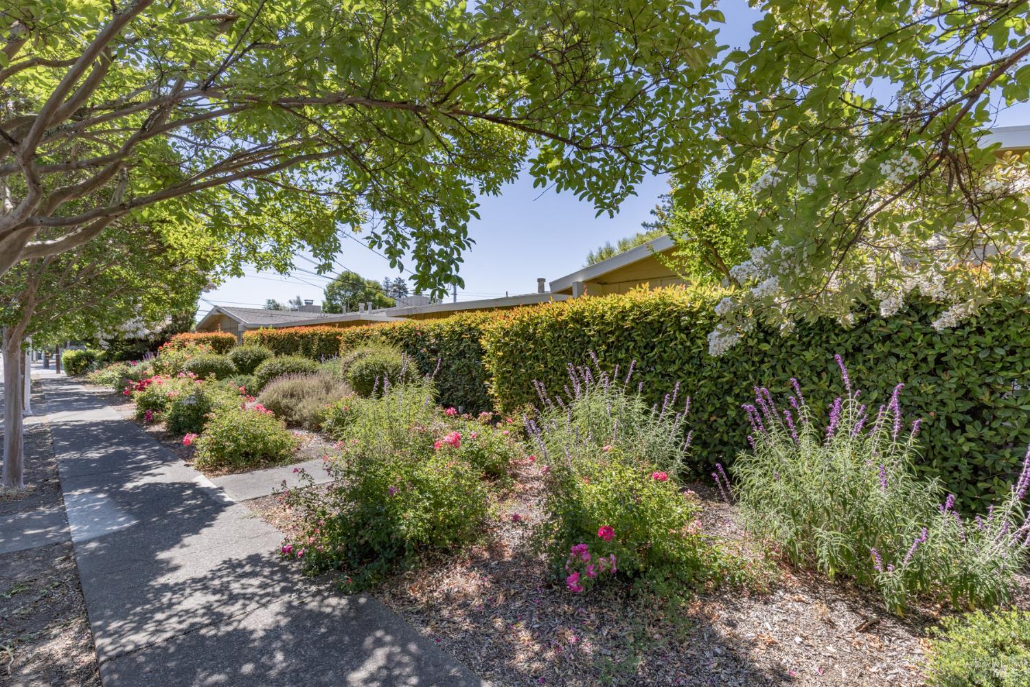 121 W Macarthur Street Sonoma CA 95476