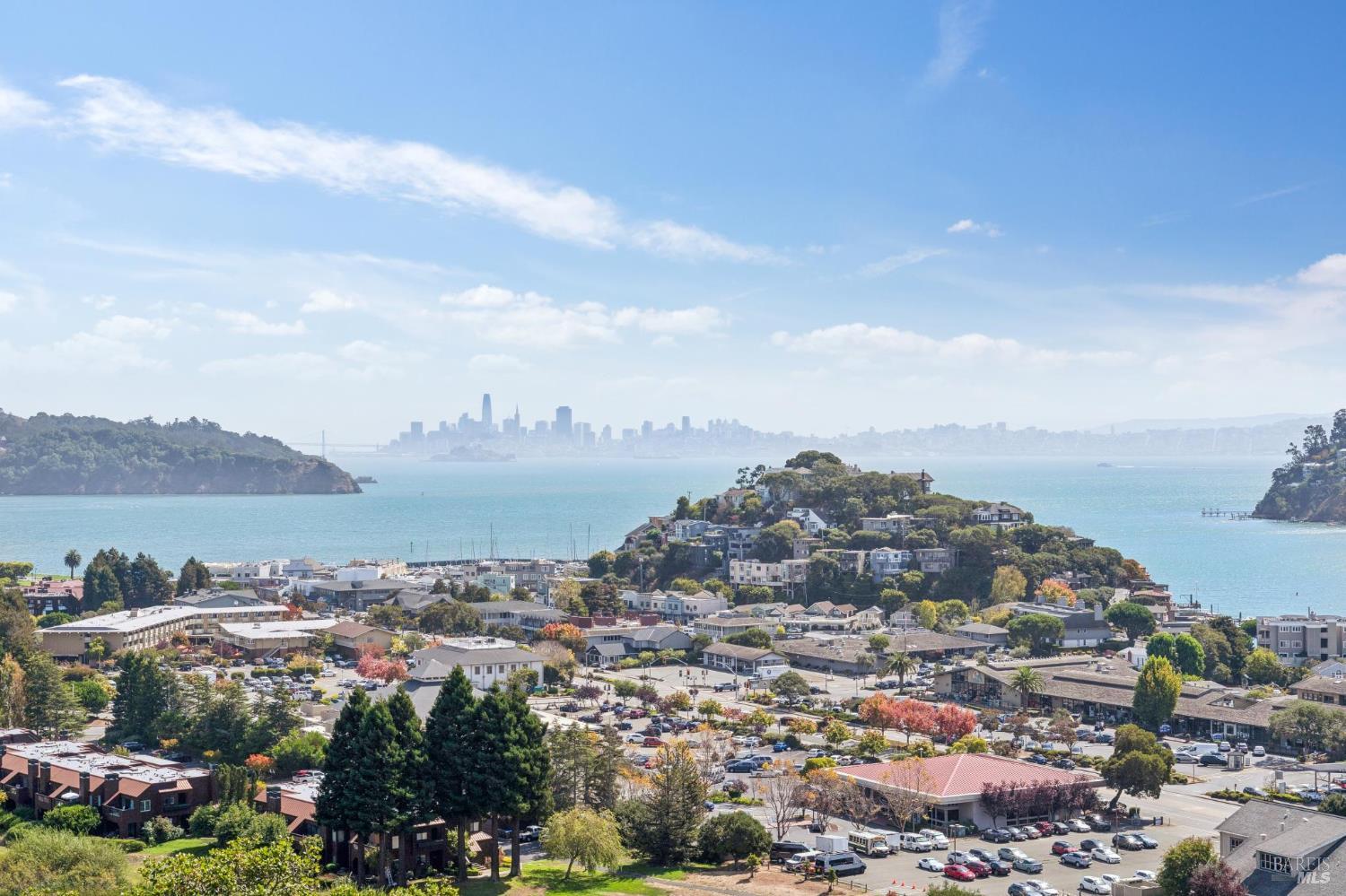 45 Harbor Oak Drive Tiburon CA 94920