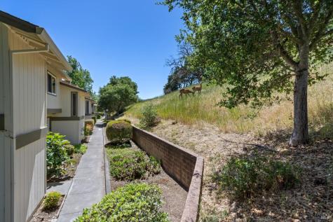 13 Oliva Drive Novato CA 94947