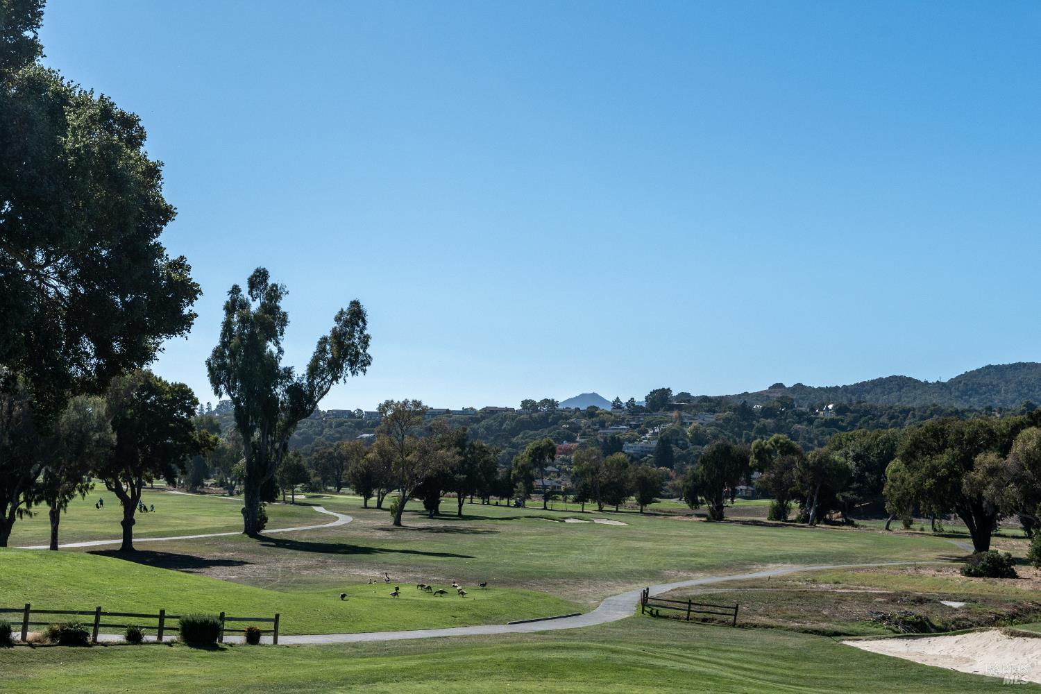 137 Knollwood Drive San Rafael CA 94901